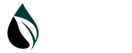 KGN World General Trading LLC